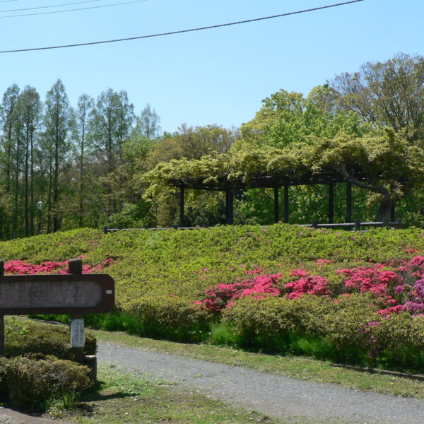 Isanuma Park