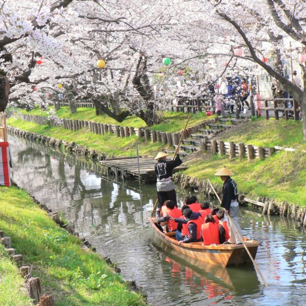 Paseo en barco por la primavera de Koedo Kawagoe