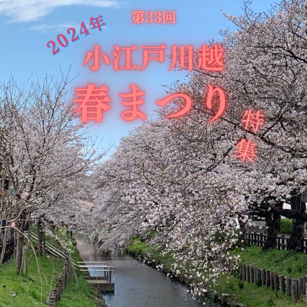🌸第33回 小江戸川越 春まつり 開催🌸