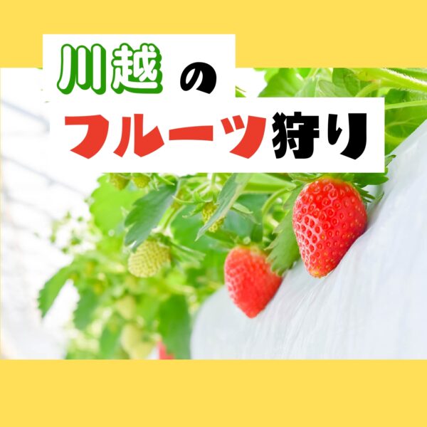 🍓 Spécial chasse aux fruits Kawagoe 🍇