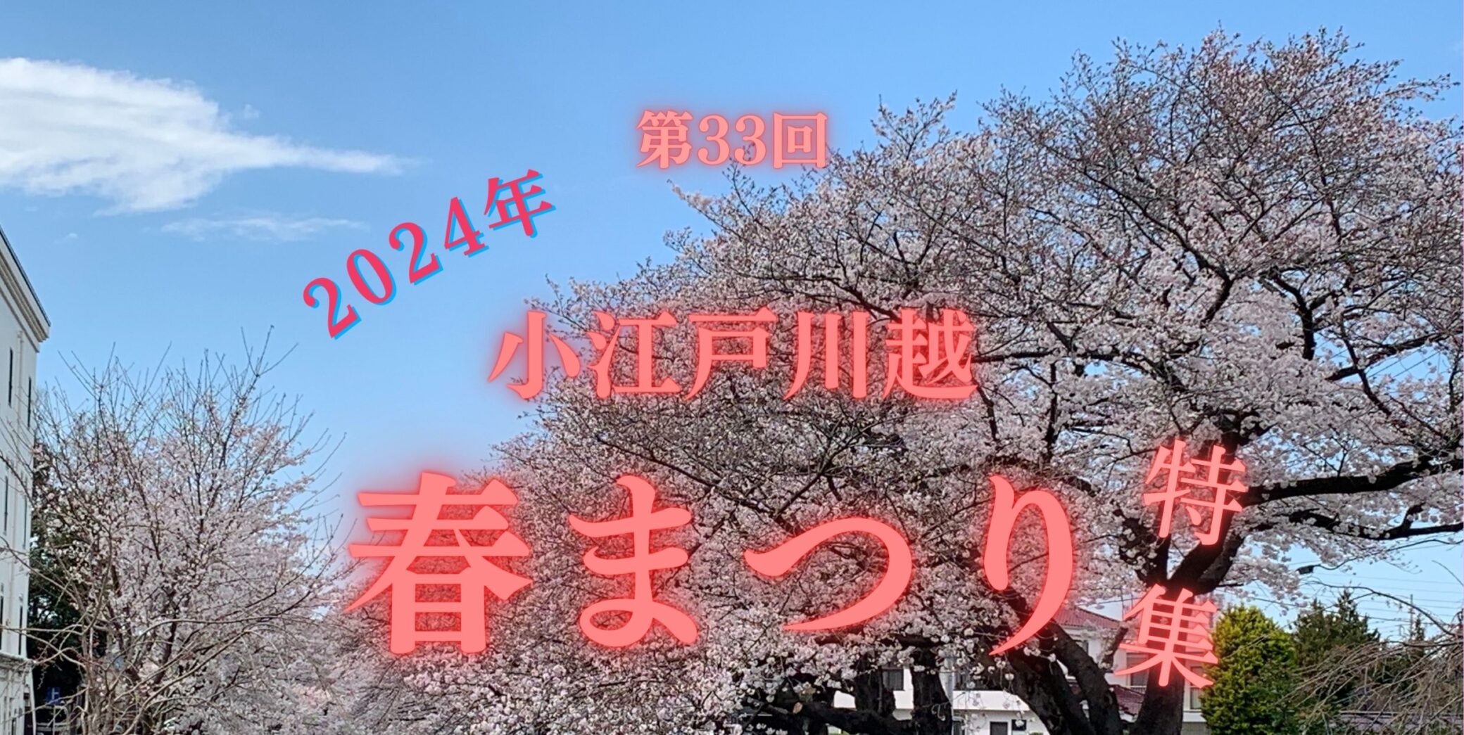 🌸33º Festival da Primavera de Koedo Kawagoe realizado🌸